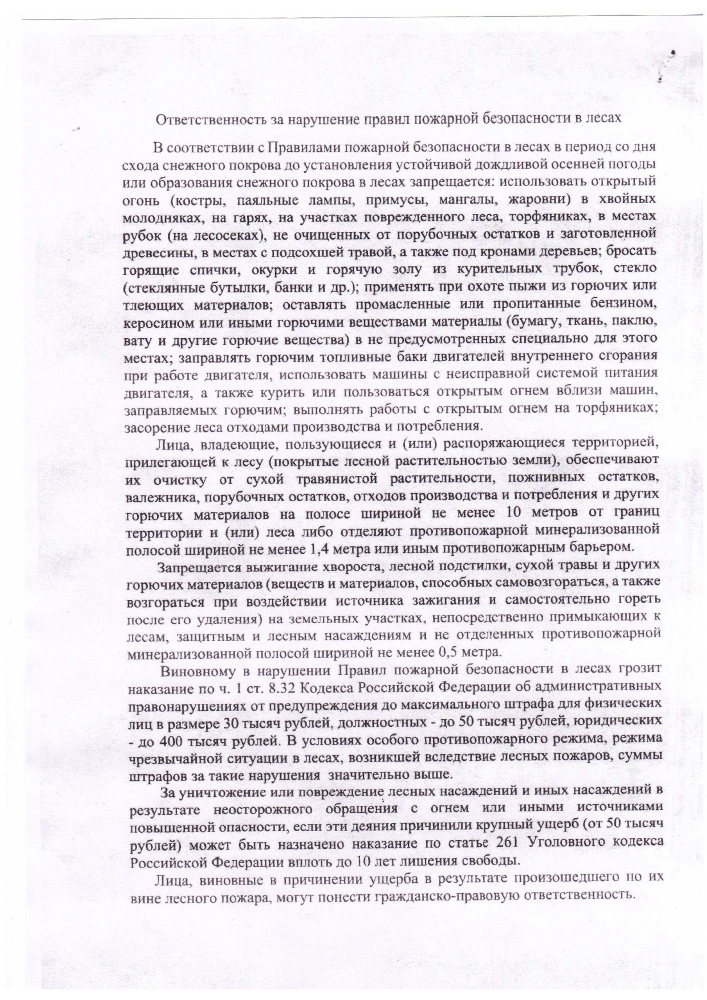 Ответственность за нарушение правил пожарной безопасности в лесах